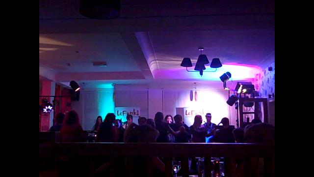 lefunk dog and partridge jade lefunk party crowd